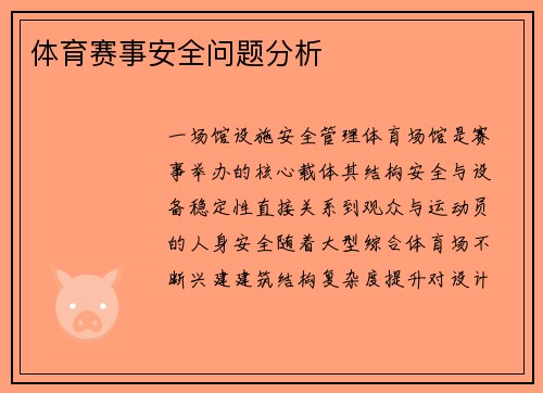 体育赛事安全问题分析